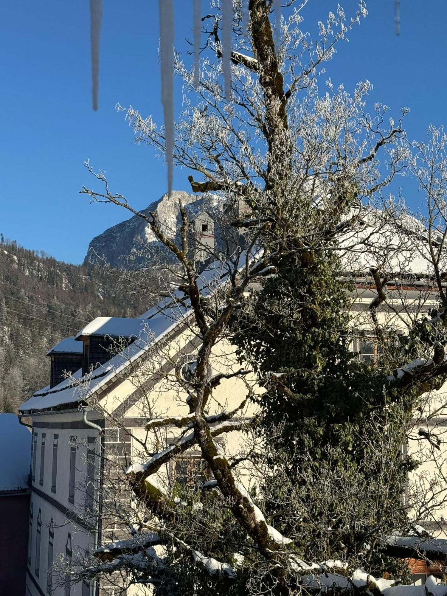Podenhaus Bad Aussee Kültér fotó